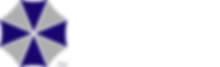 Vo1t-LogoAsset 1.png